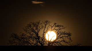 sunset-4110131.jpg