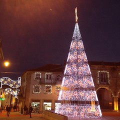 GUARDA, a Cidade Natal