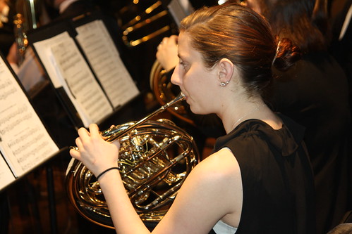 Horn Section Performer
