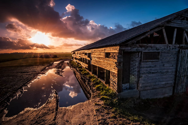 The Puddle & the Barn