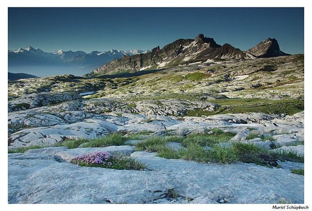 Col du Sanetsch