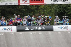 6. DSM-Lauf in Winterthur 31.08.2014