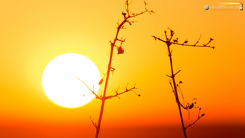 16x9 africa afrika namibia otjozondjupa sonnenuntergang sunset okonjimanaturereserve
