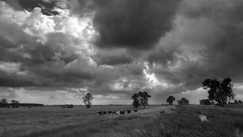 blackandwhite black monochrome landscape blackwhite poland polska polen landschaft