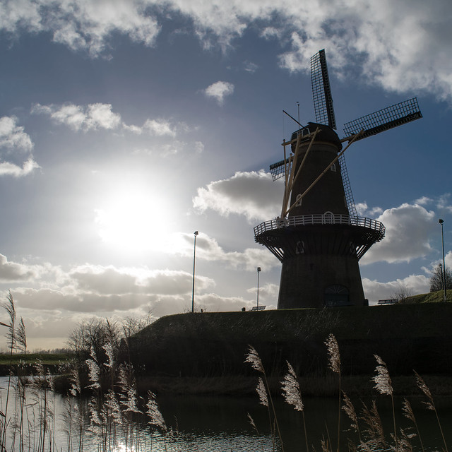 Just the sun and the Dutch windmill