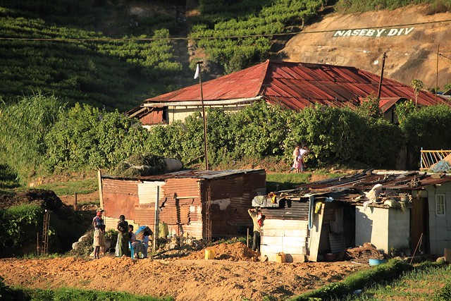 Cropping Family Dwellings Tea Plantation Village Nawara Ellya Sri Lanka Asia