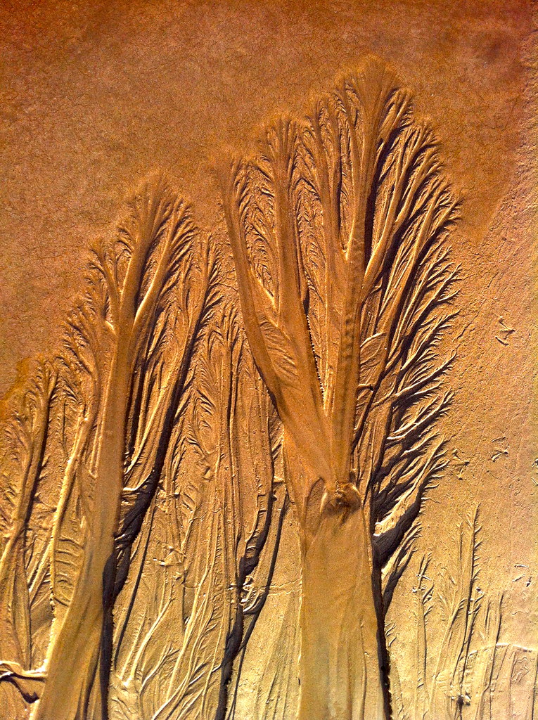 IMG_5072 | Sand Fractal Tree Patterns | antcity72 | Flickr