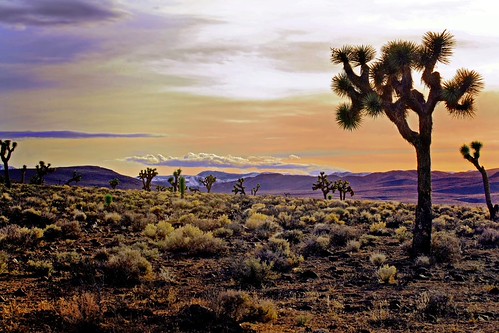 Tranquility Imagined by krelovichm, Looking west to the Sierra Nevada close to Darwin Falls...California.