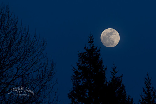 trees light sky moon reflection silhouette washington unitedstates luna lunar raja ridgefield 2015