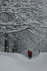 V roce 2006 spadlo v Novohradkách ještě v březnu snad půl metru sněhu.