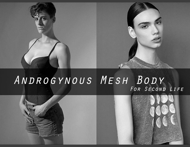 Survey for Second Life "Androgynous Mesh Body" Variety is … |