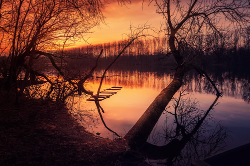 light sunset lake reflection tree nature water forest landscape boat nikon hungary sunk calmness andrás pásztor d5100