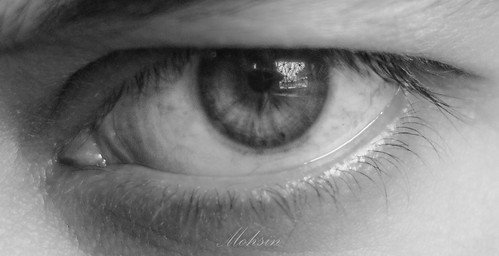india green eye monochrome beautiful amazing eyes eyelash nikkor18105mm nikond7100