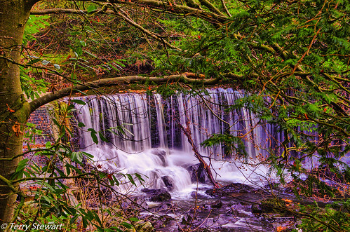 park trees ireland tree fall river waterfall rocks flood walk glen rapids stewart terry northern weir antrim crumlin ballinderry d7000