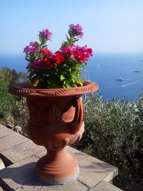 flowers facing the sea in taormina- let's remember summer while winter is still here
