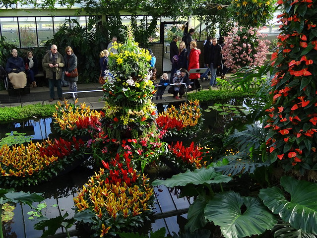 Orchid display (2015) at the Royal Botanic Gardens, Kew