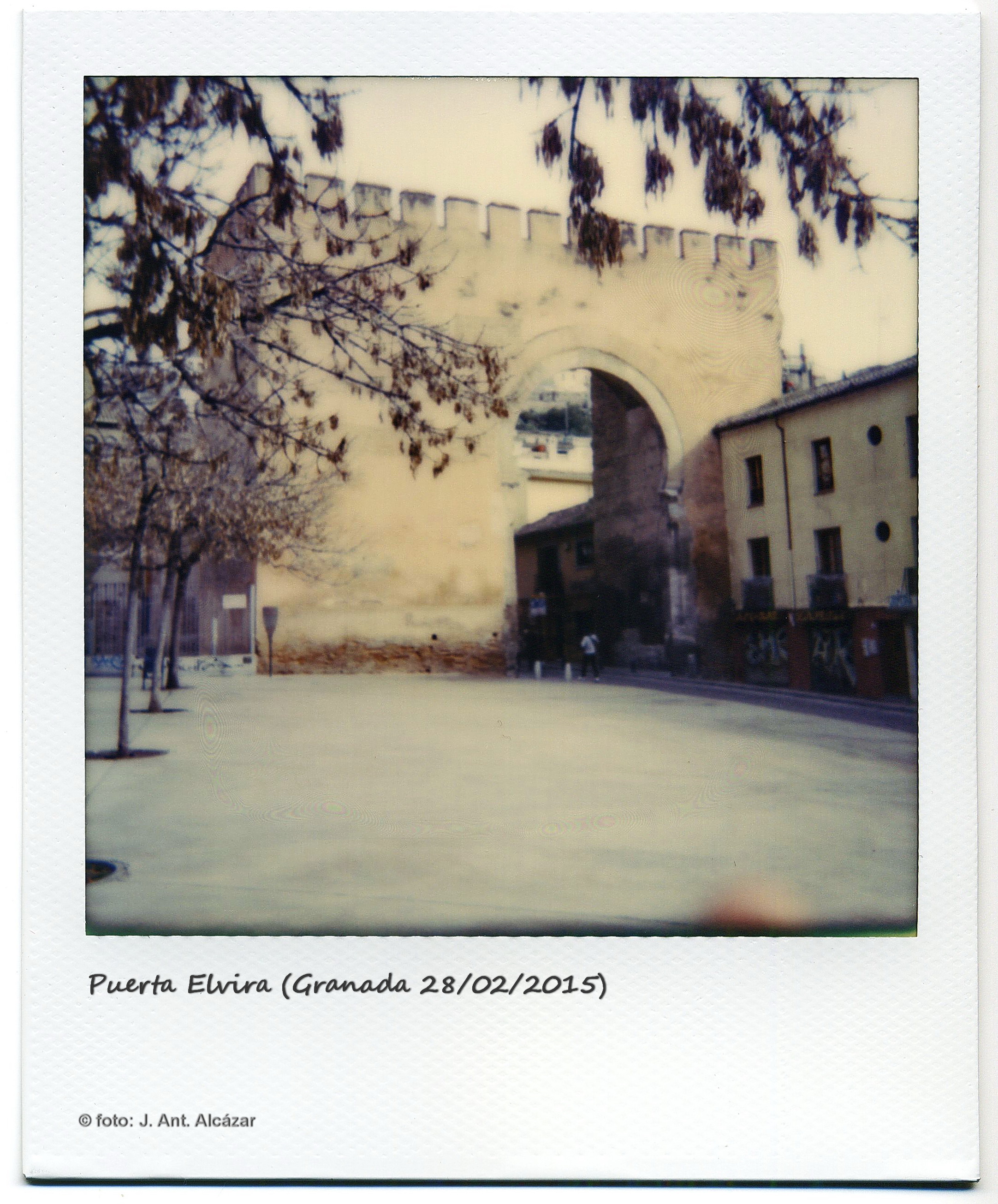 Puerta Elvira  (Granada 28/2/2015)