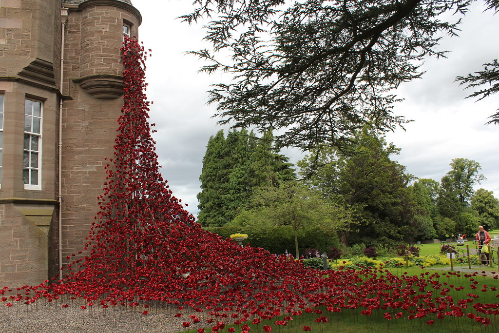 Poppy Rafferty IMG_8575 | Poppy installation in Perth | james rafferty | Flickr