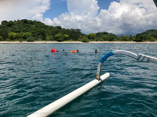 lombok snorkelling