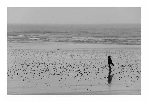 fdrouet nb bw monochrome monochrom plage beach nikon d90 bretagne brittany breton