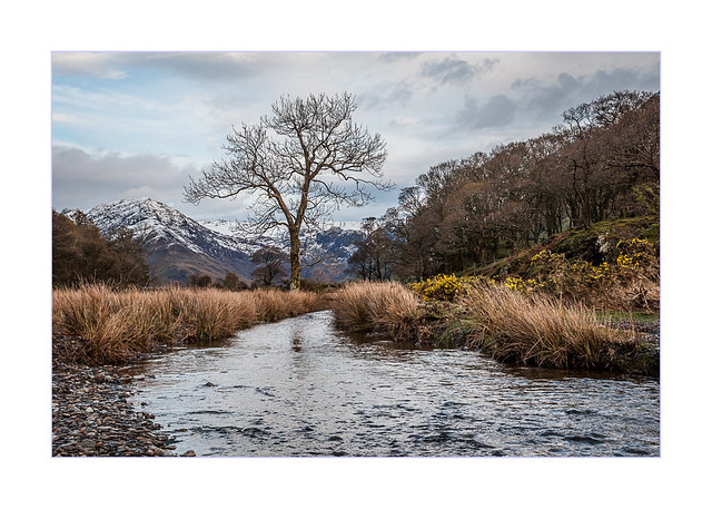 By Buttermere Dubs...