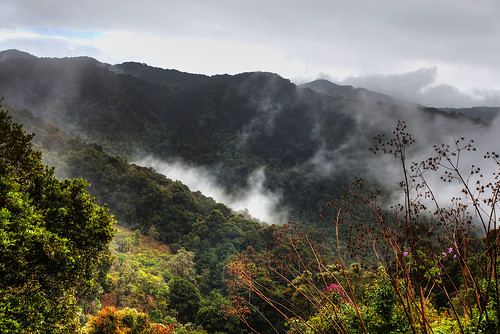 costarica cloudforest talamanca savegre cerrodelamuerte riosavegre mountainofdeath miriamscafé riversavegre
