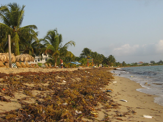 Beach in Placencia (Belize)