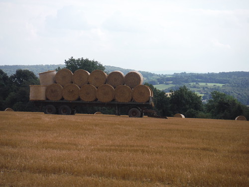 Bales with Views SWC Walk 111 Caterham to Knockholt (North Downs Way)