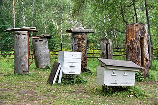 Beehives exhibition