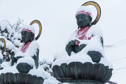 雪地 2015 bg buddhist hongkong japan landscape middle nagano nippon photobybg religion snow white winter worship yoshimitsuhonda zenkoji zenkojitemple bellphoto 中部 佛教 信州 冬 冬季 日本 長野 雪 雪景 香港