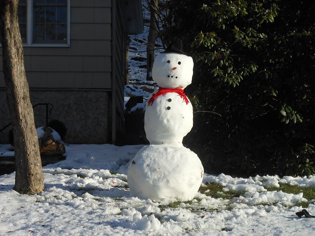 First Snowman of the Season