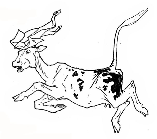 The cow bewitched