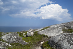 Chebucto Head, Nova Scotia