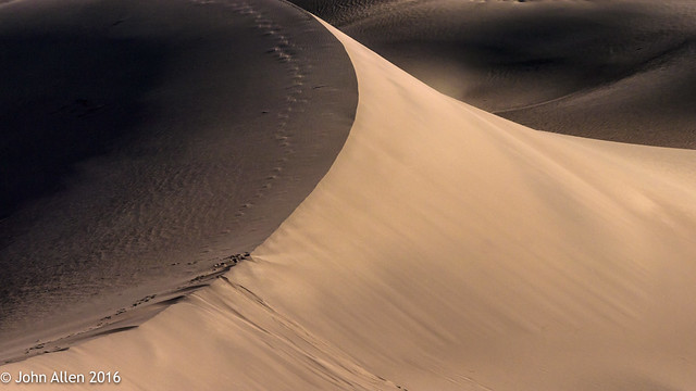 Light Bending Sand // Death Valley // Mesquite Flat Sand Dunes