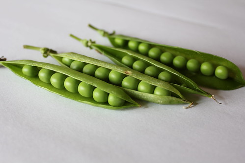 companion plants for Peas