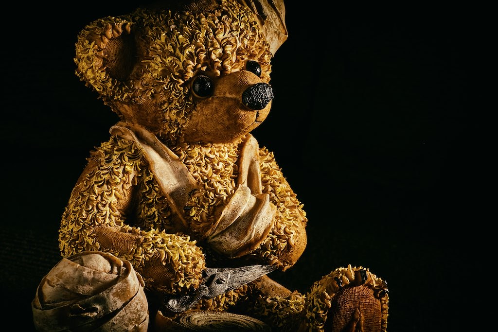 Injured Teddy Bear