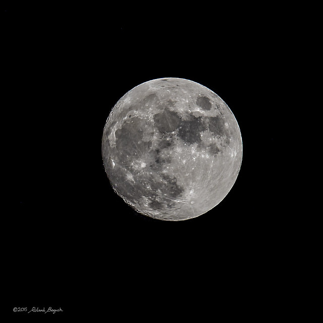 January Moon 2015