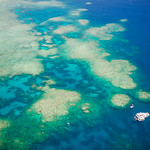 The Great Barrier Reef, Cairns, QLD, Australia