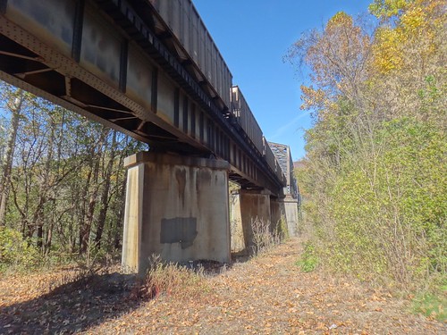 bridge train roanoke narrows