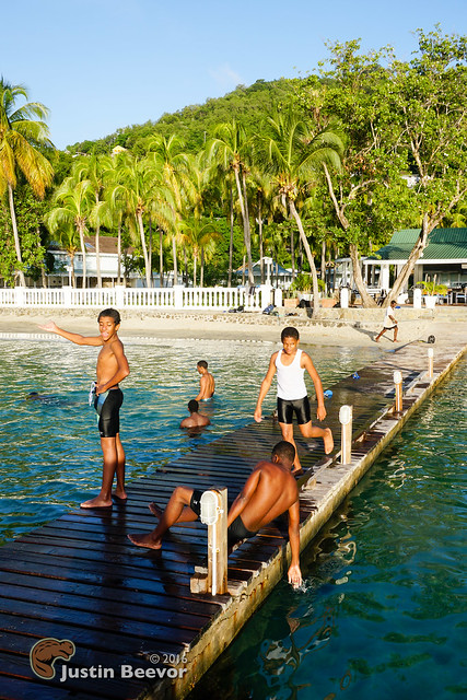 Swimming lessons on the Plantation Hotel dock
