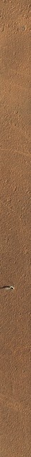 The Serpent Dust Devil of Mars ESP_026051_2160_RGB.NOMAP edited