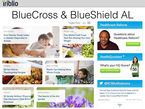 Content Hubs 101 - Content Hub Example BlueCross & Blueshield