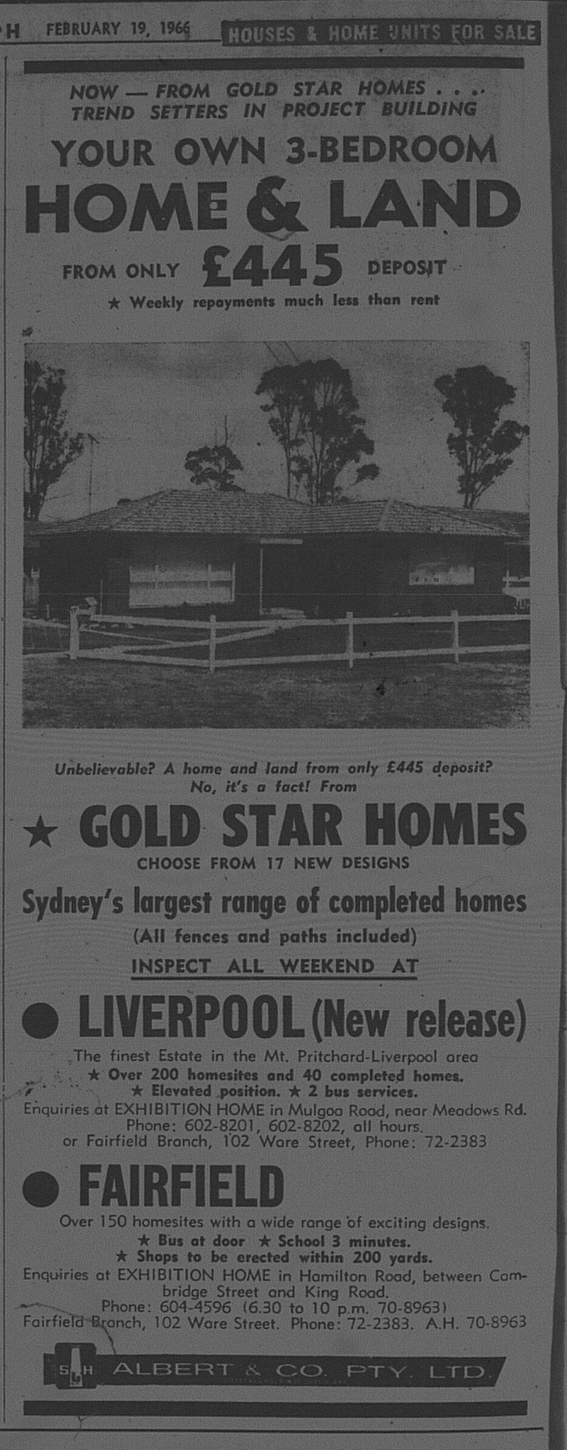 Gold Star Homes Ad February 19 1966 daily telegraph 28