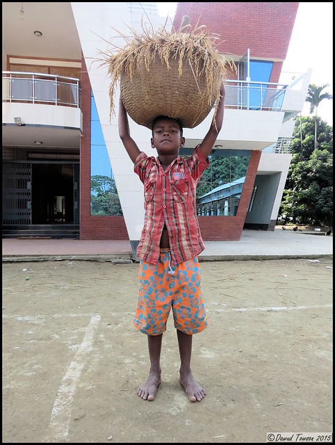 Boy Holding Basket of Rice Stalks @ Khan Bari