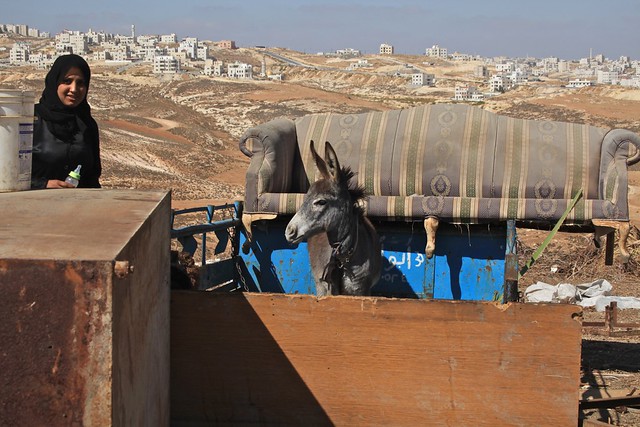 Little Donkey Bedouin Families Living on the Fringe Amman Jordan Middle East