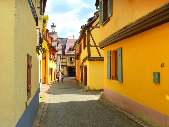 the yellow lane