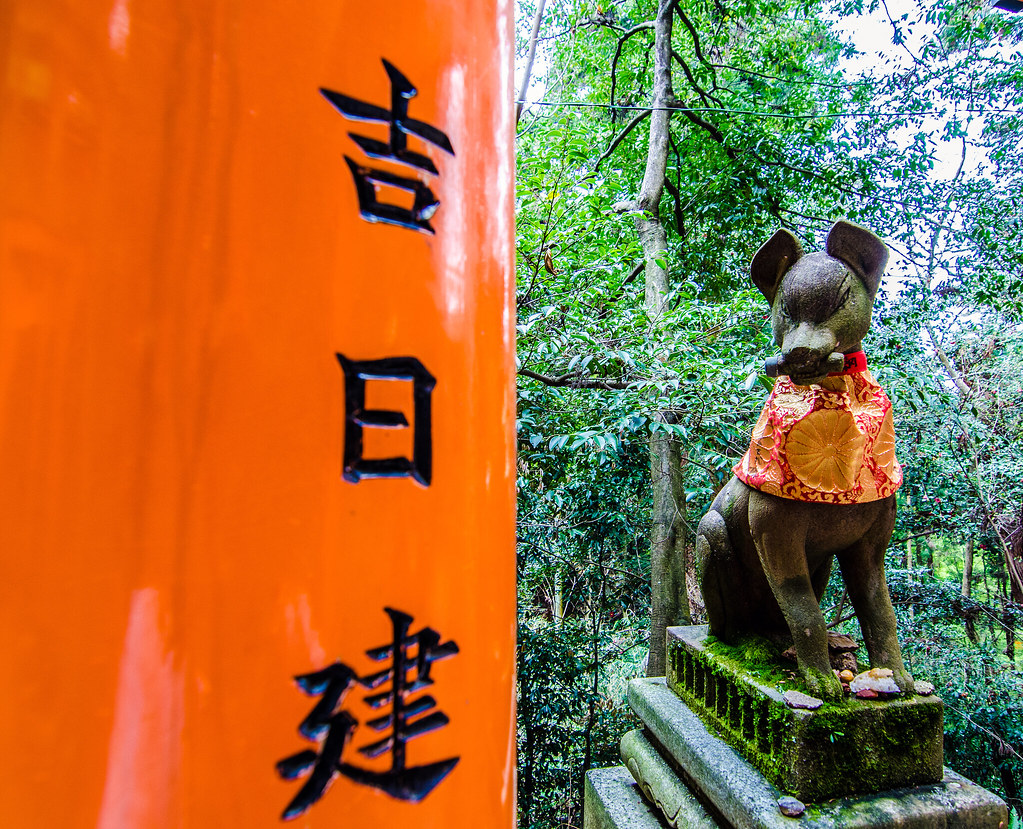 Fushimi Inari dog