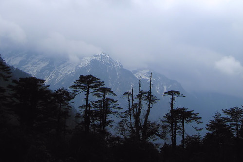 yumthang valley sikkim india landscape shingbarhododendronsanctuary mountain himalayas iucncategoryiinationalpark