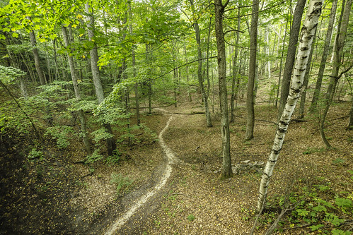woods trail hiking piercestockingdrive sleepingbeardunes tacphotography 1000views