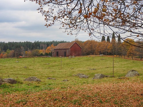barn fall autumn field autumncolors trees rocks suomi finland malmgård serene peaceful